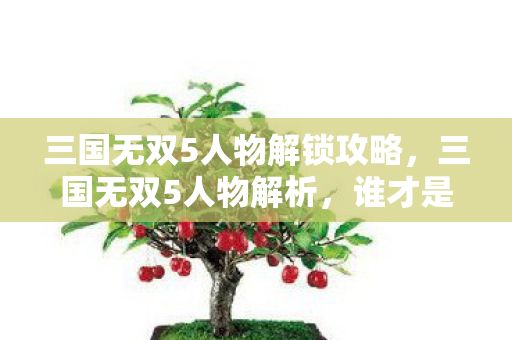 三国无双5人物解锁攻略，三国无双5人物解析，谁才是战场上的霸主？