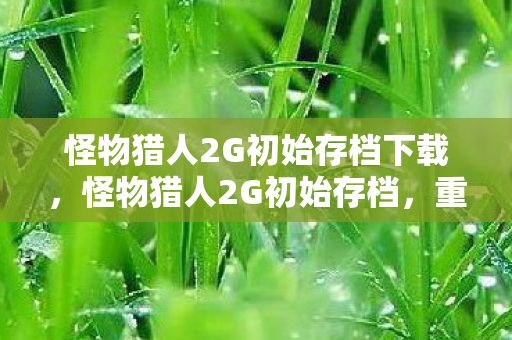 怪物猎人2G初始存档下载，怪物猎人2G初始存档，重温经典，探索未知