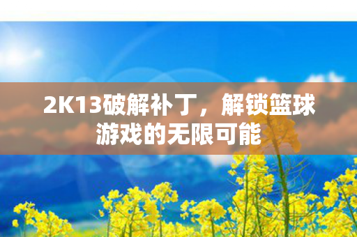 2K13破解补丁，解锁篮球游戏的无限可能