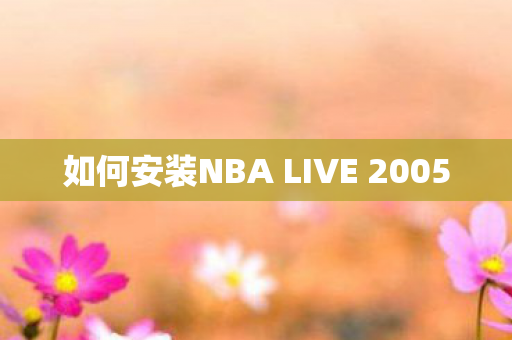 如何安装NBA LIVE 2005