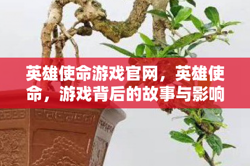 英雄使命游戏官网，英雄使命，游戏背后的故事与影响
