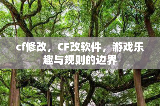 cf修改，CF改软件，游戏乐趣与规则的边界