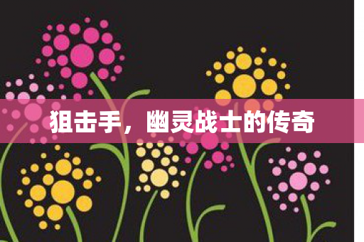 狙击手，幽灵战士的传奇