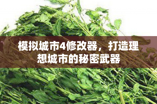 模拟城市4修改器,打造理想城市的秘密武器 模拟城市4修改器,打造理想城市的秘密武器