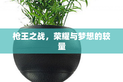枪王之战，荣耀与梦想的较量