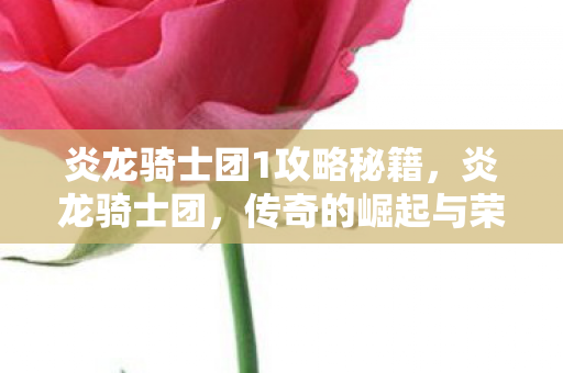 炎龙骑士团1攻略秘籍,炎龙骑士团,传奇的崛起与荣耀的征程 炎龙骑士团1攻略秘籍,炎龙骑士团,传奇的崛起与荣耀的征程