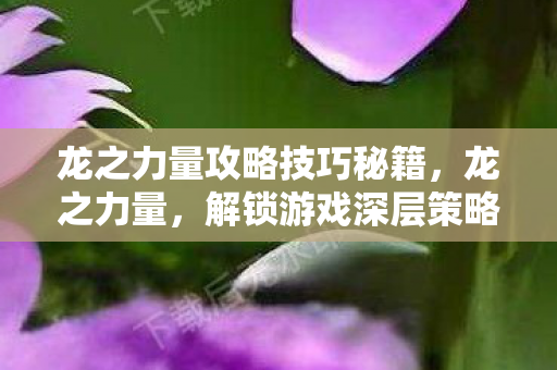 龙之力量攻略技巧秘籍，龙之力量，解锁游戏深层策略与技巧