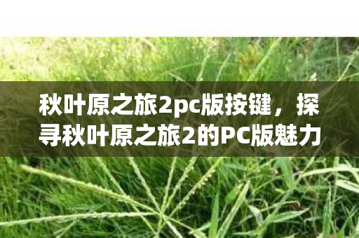 秋叶原之旅2pc版按键，探寻秋叶原之旅2的PC版魅力