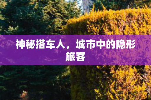 神秘搭车人，城市中的隐形旅客
