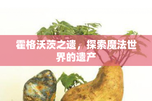 霍格沃茨之遗，探索魔法世界的遗产