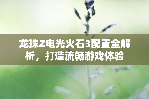 龙珠Z电光火石3配置全解析，打造流畅游戏体验