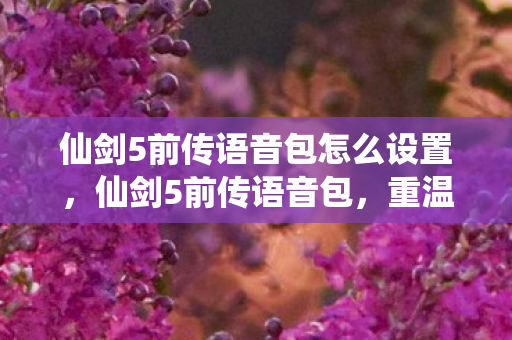 仙剑5前传语音包怎么设置，仙剑5前传语音包，重温经典，感受原声魅力