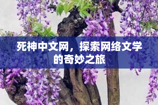 死神中文网,探索网络文学的奇妙之旅 死神中文网,探索网络文学的奇妙之旅