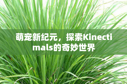 萌宠新纪元，探索Kinectimals的奇妙世界