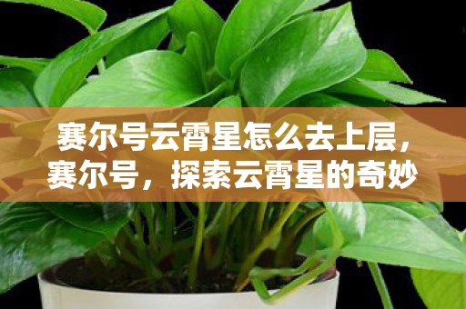 赛尔号云霄星怎么去上层，赛尔号，探索云霄星的奇妙之旅