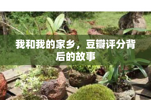 我和我的家乡，豆瓣评分背后的故事