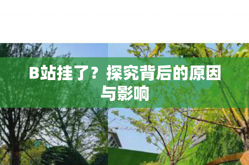 B站挂了？探究背后的原因与影响