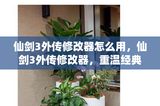 仙剑3外传修改器怎么用，仙剑3外传修改器，重温经典，解锁无限可能