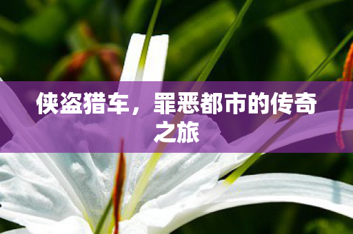侠盗猎车，罪恶都市的传奇之旅