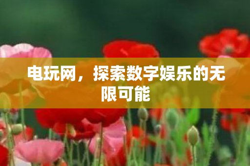 电玩网，探索数字娱乐的无限可能