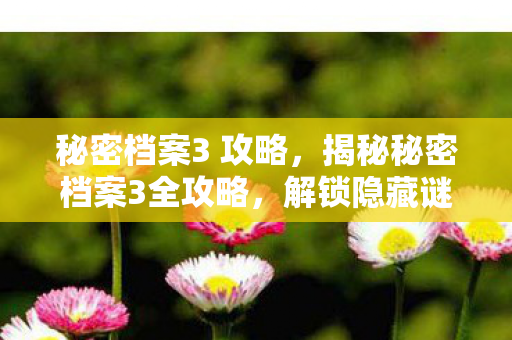 秘密档案3 攻略，揭秘秘密档案3全攻略，解锁隐藏谜题与终极挑战