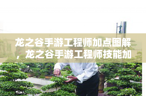 龙之谷手游工程师加点图解,龙之谷手游工程师技能加点攻略 龙之谷手游工程师加点图解,龙之谷手游工程师技能加点攻略