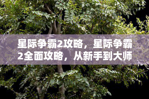 星际争霸2攻略，星际争霸2全面攻略，从新手到大师的全面指南