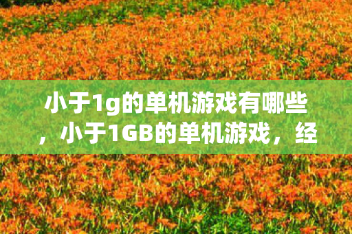 小于1g的单机游戏有哪些，小于1GB的单机游戏，经典与创新的完美结合