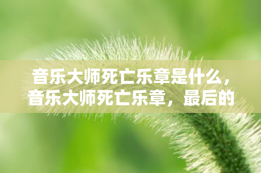 音乐大师死亡乐章是什么，音乐大师死亡乐章，最后的旋律，永恒的记忆