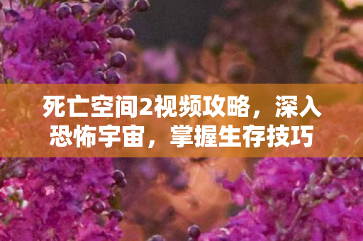 死亡空间2视频攻略，深入恐怖宇宙，掌握生存技巧