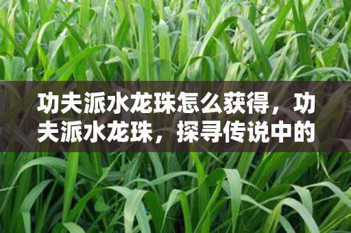 功夫派水龙珠怎么获得,功夫派水龙珠,探寻传说中的神秘宝物 功夫派水龙珠怎么获得,功夫派水龙珠,探寻传说中的神秘宝物