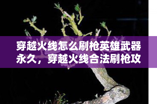 穿越火线怎么刷枪英雄武器永久，穿越火线合法刷枪攻略，解锁更多武器与装备