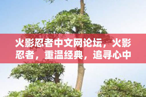 火影忍者中文网论坛，火影忍者，重温经典，追寻心中的火影梦
