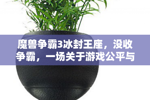 魔兽争霸3冰封王座，没收争霸，一场关于游戏公平与正义的较量