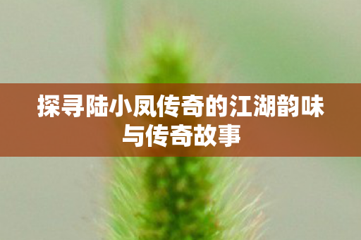 探寻陆小凤传奇的江湖韵味与传奇故事