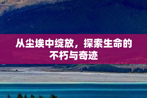 从尘埃中绽放，探索生命的不朽与奇迹