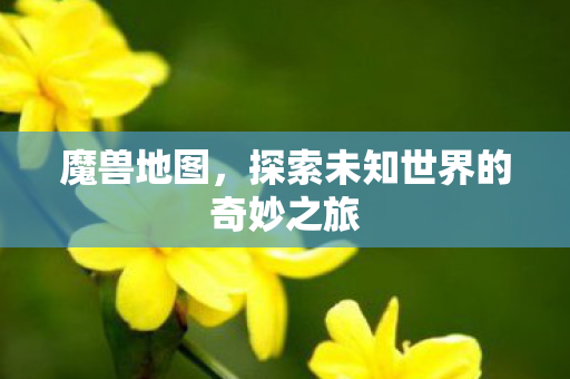 魔兽地图，探索未知世界的奇妙之旅