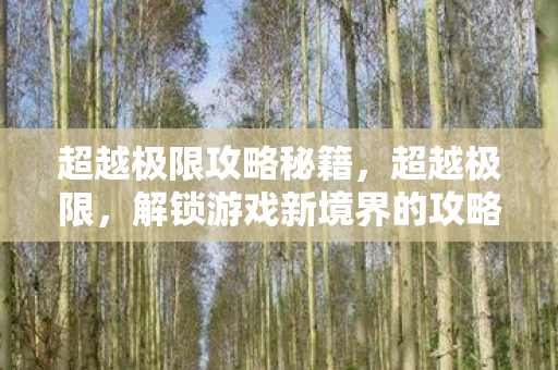 超越极限攻略秘籍，超越极限，解锁游戏新境界的攻略指南