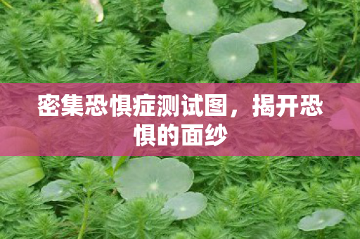密集恐惧症测试图，揭开恐惧的面纱