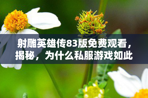 射雕英雄传83版免费观看，揭秘，为什么私服游戏如此吸引人？