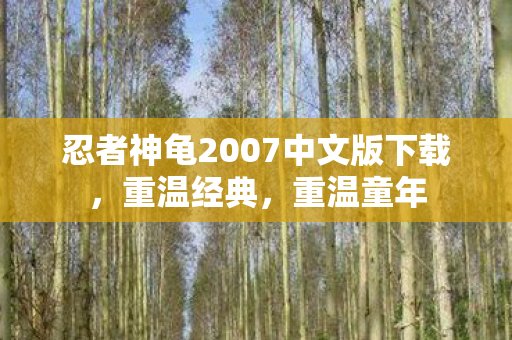 忍者神龟2007中文版下载，重温经典，重温童年