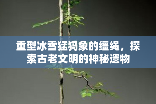 重型冰雪猛犸象的缰绳，探索古老文明的神秘遗物