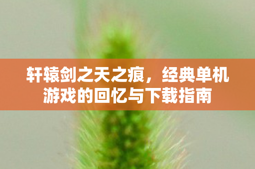 轩辕剑之天之痕，经典单机游戏的回忆与下载指南
