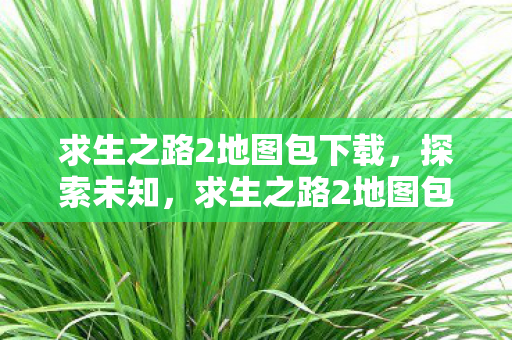求生之路2地图包下载，探索未知，求生之路2地图包深度解析与推荐
