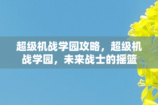 超级机战学园攻略，超级机战学园，未来战士的摇篮