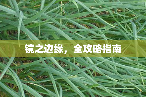 镜之边缘，全攻略指南