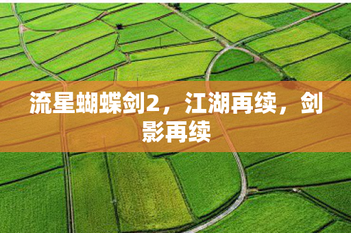 流星蝴蝶剑2，江湖再续，剑影再续