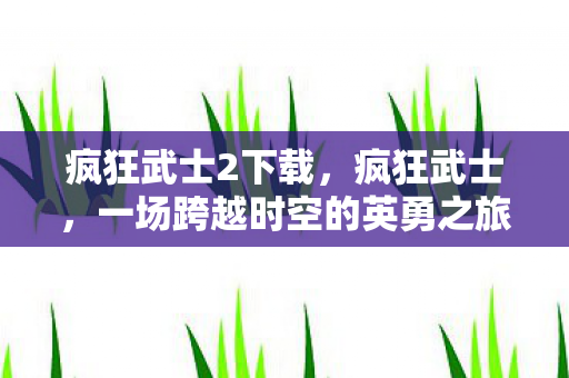 疯狂武士2下载,疯狂武士,一场跨越时空的英勇之旅 疯狂武士2下载,疯狂武士,一场跨越时空的英勇之旅