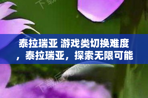 泰拉瑞亚 游戏类切换难度，泰拉瑞亚，探索无限可能的沙盒冒险之旅