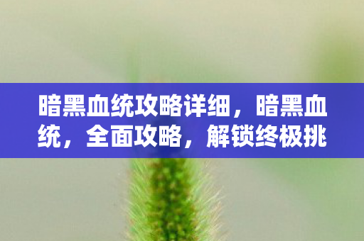 暗黑血统攻略详细,暗黑血统,全面攻略,解锁终极挑战 暗黑血统攻略详细,暗黑血统,全面攻略,解锁终极挑战